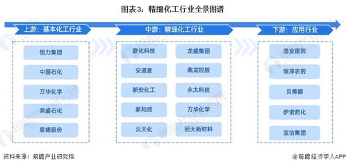 預見2024 中國精細化工產業全景圖譜、市場規模、競爭格局與發展前景